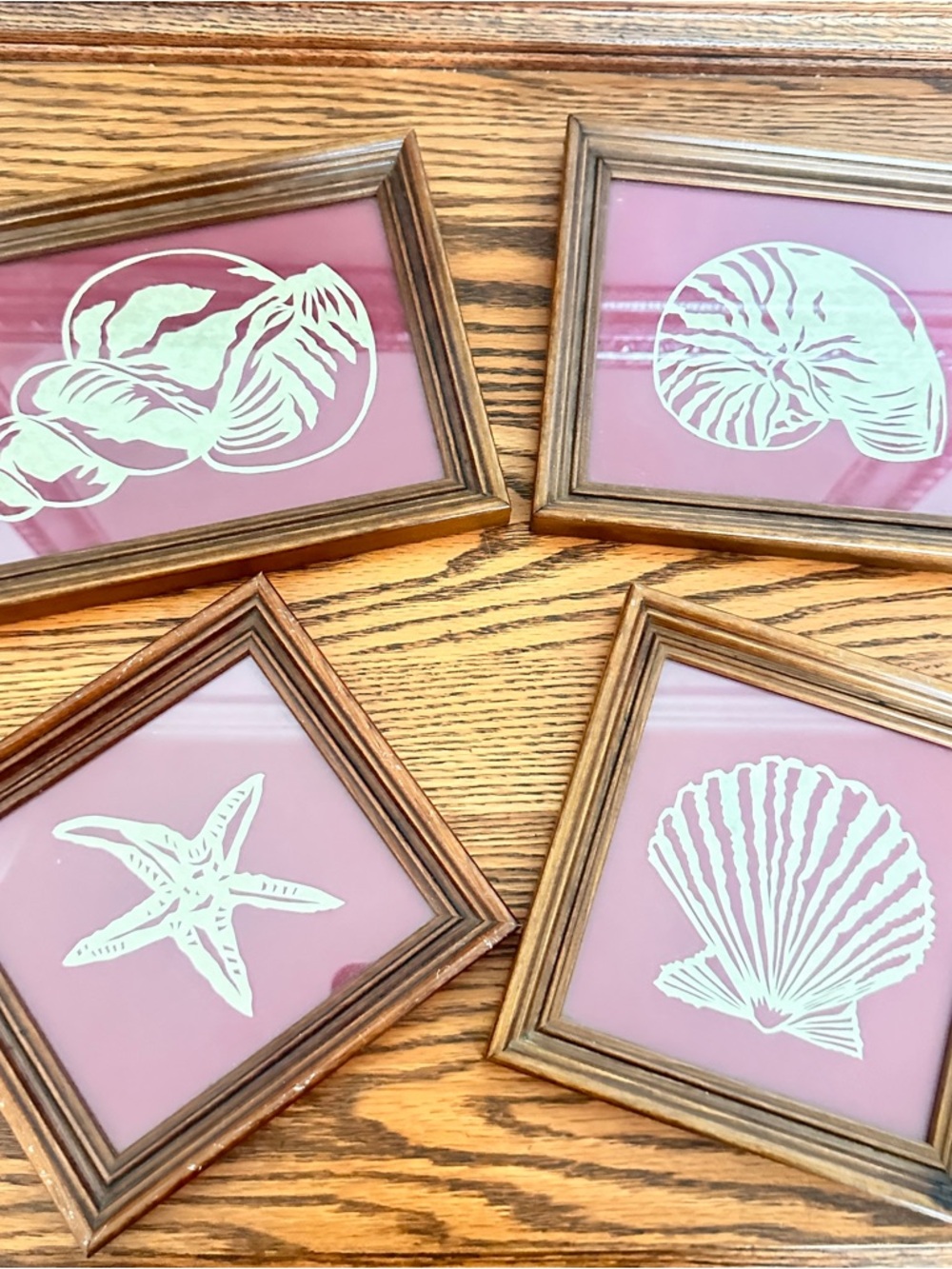 Set of 4 seashell art with vintage wood frames